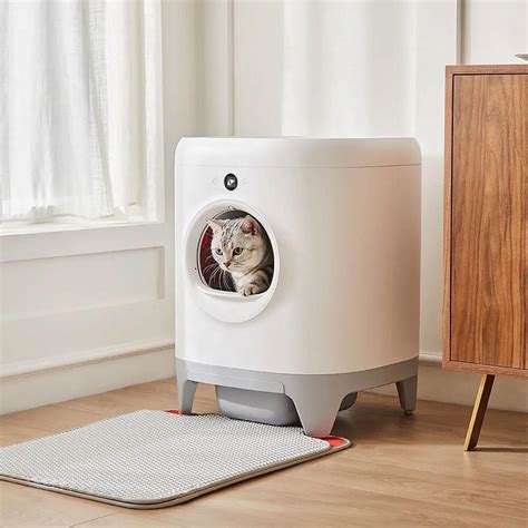 electric litter box and kittens|automatic self cleaning litter box.